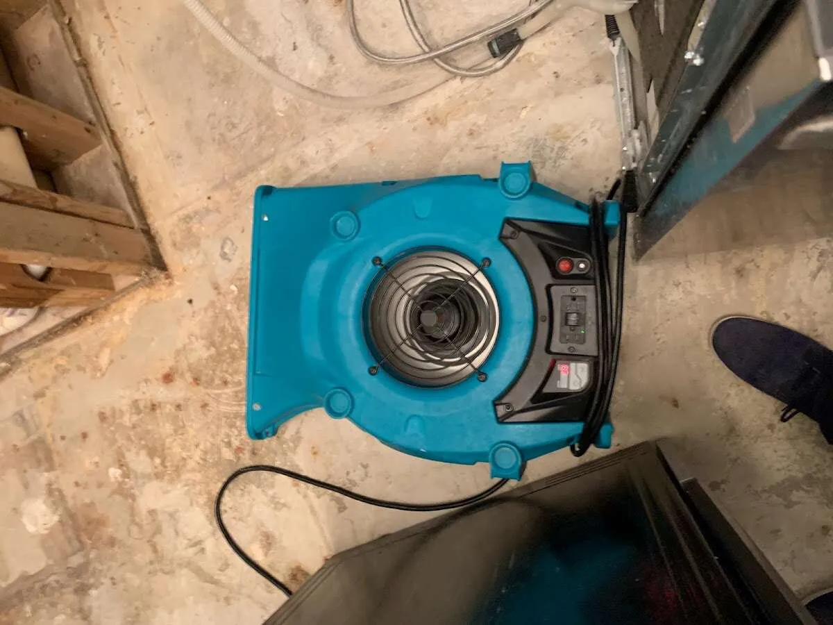 Air mover drying equipment for Mold Remediation & Removal in East Rancho Dominguez